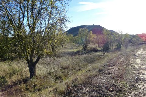 Finca i Maella, Zaragoza, Maella - € 14.000 | Ref: 0839 - foto 8