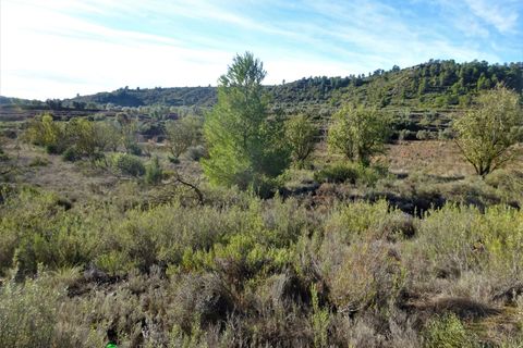 Finca i Maella, Zaragoza, Maella - € 14.000 | Ref: 0839 - foto 6