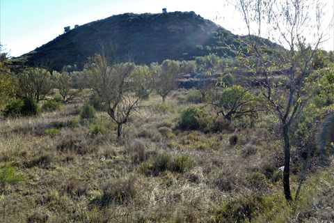 Finca i Maella, Zaragoza, Maella - € 14.000 | Ref: 0839 - foto 9