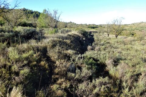 Finca i Maella, Zaragoza, Maella - € 14.000 | Ref: 0839 - foto 10