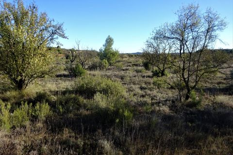 Finca i Maella, Zaragoza, Maella - € 14.000 | Ref: 0839 - foto 7