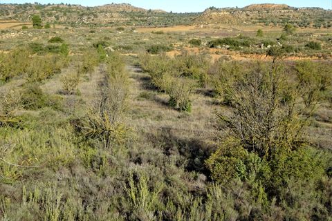 Finca i Maella, Zaragoza, Maella - € 14.000 | Ref: 0839 - foto 11
