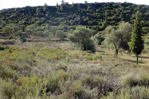 Finca i Maella, Zaragoza, Maella - € 15.500 | Ref: 0840 - foto 10