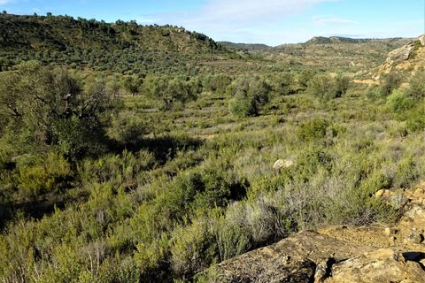 Finca i Maella, Zaragoza, Maella - € 15.500 | Ref: 0840 - foto 6