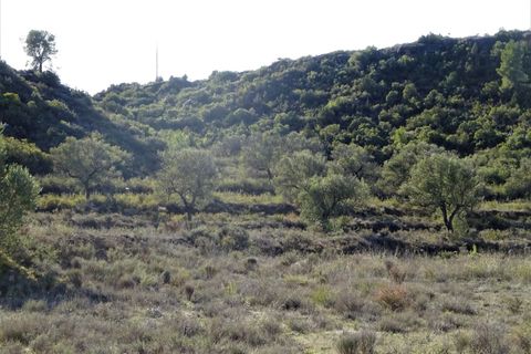 Finca i Maella, Zaragoza, Maella - € 15.500 | Ref: 0840 - foto 11