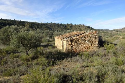 Finca i Maella, Zaragoza, Maella - € 15.500 | Ref: 0840 - foto 16