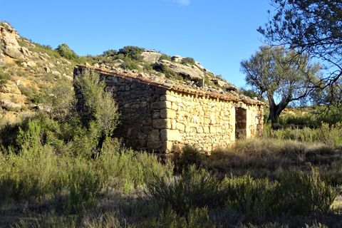 Finca i Maella, Zaragoza, Maella - € 15.500 | Ref: 0840 - foto 12