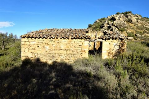 Finca i Maella, Zaragoza, Maella - € 15.500 | Ref: 0840 - foto 13