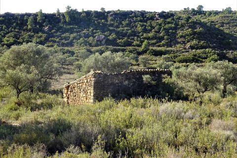Finca i Maella, Zaragoza, Maella - € 15.500 | Ref: 0840 - foto 9