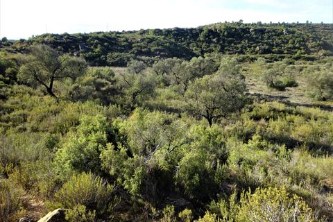Finca i Maella, Zaragoza, Maella - € 15.500 | Ref: 0840 - foto 7