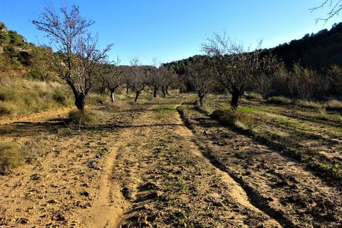 Finca in Maella, Zaragoza, Maella - € 34.000 | Ref: 0672 - Foto 15