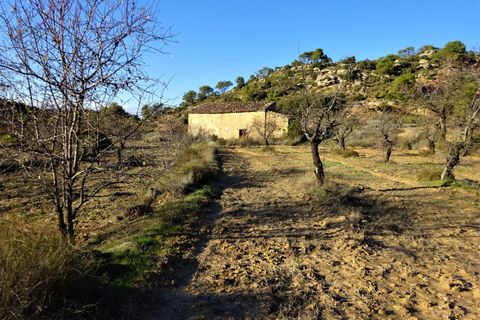 Finca in Maella, Zaragoza, Maella - € 34.000 | Ref: 0672 - Foto 9