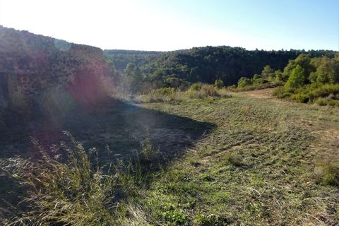 Finca in Maella, Zaragoza, Maella - € 34.000 | Ref: 0672 - Foto 6