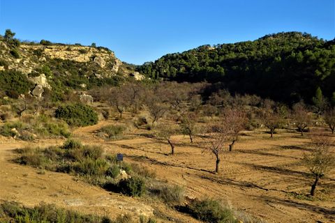 Finca in Maella, Zaragoza, Maella - € 34.000 | Ref: 0672 - Foto 16