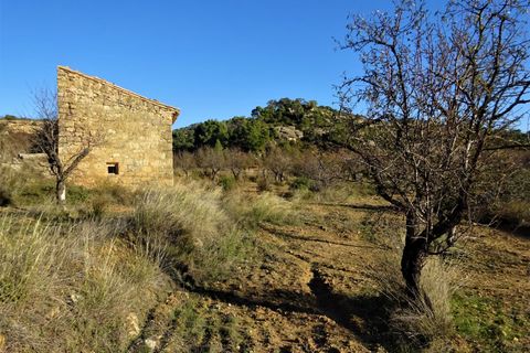 Finca in Maella, Zaragoza, Maella - € 34.000 | Ref: 0672 - Foto 8
