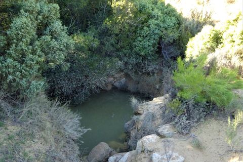 Finca in Maella, Zaragoza, Maella - € 34.000 | Ref: 0672 - Foto 14