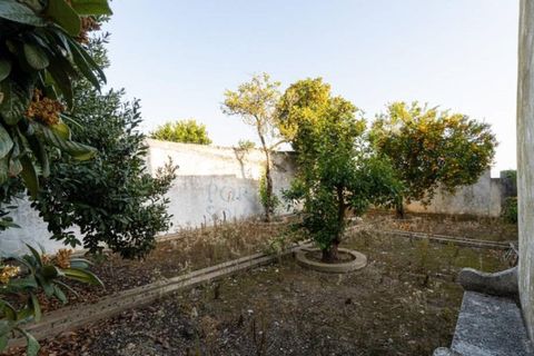 Villa i Elvas, Portalegre, Elvas - € 2 300 000 | Ref: 1120 - foto 36