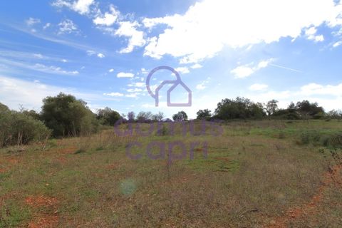 Helårsgrund i Moncarapacho, Faro, Moncarapacho - € 51.500 | Ref: 6422038 - foto 6