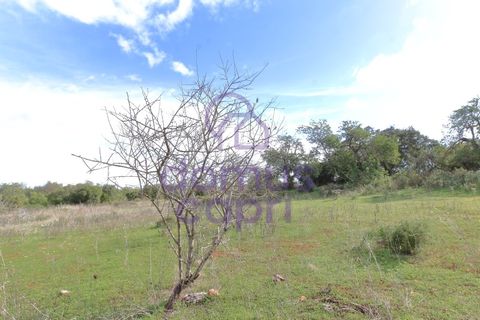Helårsgrund i Moncarapacho, Faro, Moncarapacho - € 51.500 | Ref: 6422038 - foto 7