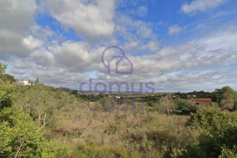Helårsgrund i Moncarapacho, Faro, Moncarapacho - € 61.500 | Ref: 6422037 - foto 2