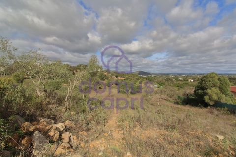 Helårsgrund i Moncarapacho, Faro, Moncarapacho - € 61.500 | Ref: 6422037 - foto 4