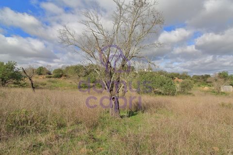 Helårsgrund i Moncarapacho, Faro, Moncarapacho - € 61.500 | Ref: 6422037 - foto 8