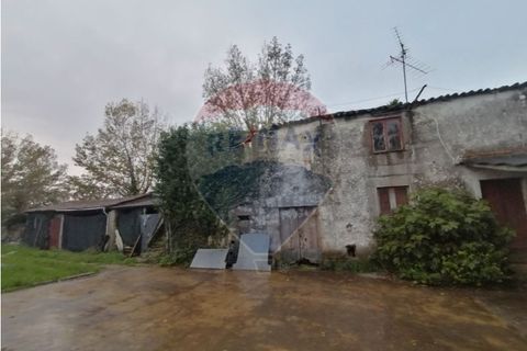 Farm i Braga, Braga, Braga - € 1.600.000 | Ref: 120781278-47 - foto 2