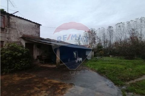 Farm i Braga, Braga, Braga - € 1.600.000 | Ref: 120781278-47 - foto 3