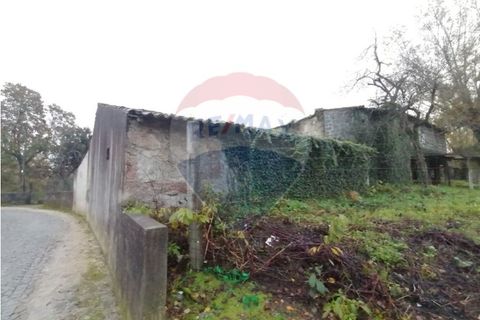 Farm i Braga, Braga, Braga - € 1.600.000 | Ref: 120781278-47 - foto 4