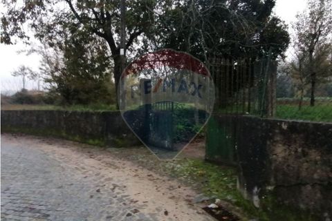 Farm i Braga, Braga, Braga - € 1.600.000 | Ref: 120781278-47 - foto 5