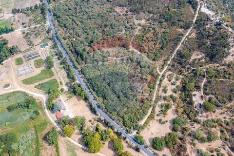 Terra a Azambuja, Lisbon, Azambuja - € 1.750.000 | Ref: 124151125-15 - foto 4