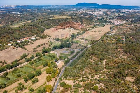 Terra a Azambuja, Lisbon, Azambuja - € 1.750.000 | Ref: 124151125-15 - foto 5