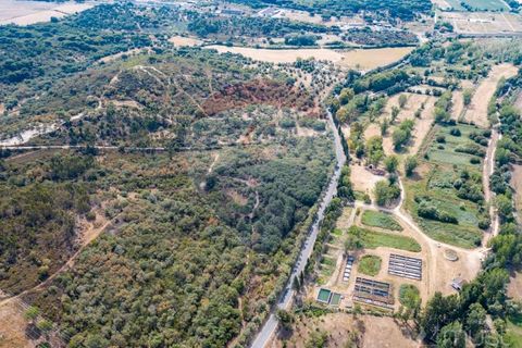 Terra a Azambuja, Lisbon, Azambuja - € 1.750.000 | Ref: 124151125-15 - foto 6