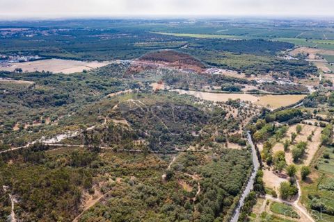 Terra a Azambuja, Lisbon, Azambuja - € 1.750.000 | Ref: 124151125-15 - foto 7