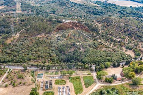 Terra a Azambuja, Lisbon, Azambuja - € 1.750.000 | Ref: 124151125-15 - foto 8
