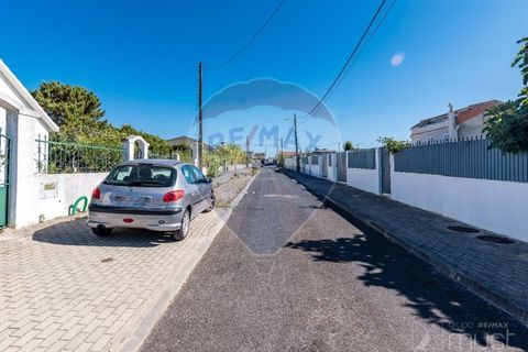 Helårsgrund i Quinta do Conde, Setubal, Quinta do Conde - € 88.000 | Ref: 124151054-47 - foto 18