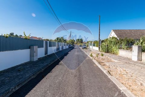 Helårsgrund i Quinta do Conde, Setubal, Quinta do Conde - € 88.000 | Ref: 124151054-47 - foto 19