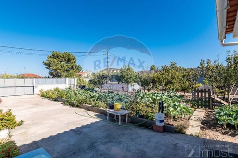 Helårsgrund i Quinta do Conde, Setubal, Quinta do Conde - € 88.000 | Ref: 124151054-47 - foto 20