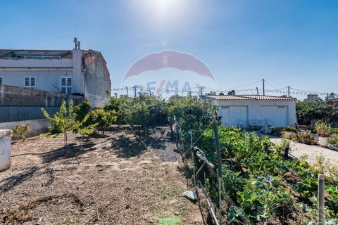 Helårsgrund i Quinta do Conde, Setubal, Quinta do Conde - € 88.000 | Ref: 124151054-47 - foto 23