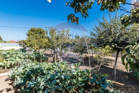 Helårsgrund i Quinta do Conde, Setubal, Quinta do Conde - € 88.000 | Ref: 124151054-47 - foto 25