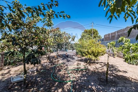 Helårsgrund i Quinta do Conde, Setubal, Quinta do Conde - € 88.000 | Ref: 124151054-47 - foto 27