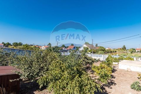 Helårsgrund i Quinta do Conde, Setubal, Quinta do Conde - € 88.000 | Ref: 124151054-47 - foto 28