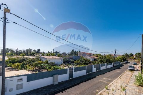 Helårsgrund i Quinta do Conde, Setubal, Quinta do Conde - € 88.000 | Ref: 124151054-47 - foto 31