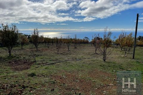 Helårsgrund i Calheta, Madeira, Calheta - € 500.000 | Ref: HH_1179MD22 - foto 13