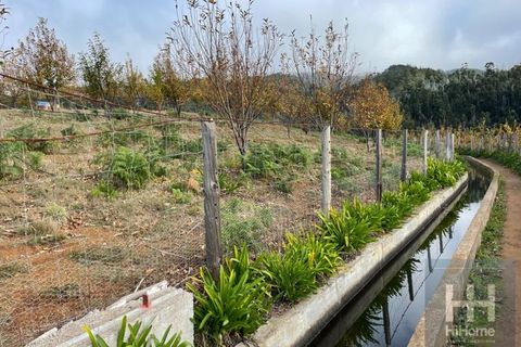 Helårsgrund i Calheta, Madeira, Calheta - € 500.000 | Ref: HH_1179MD22 - foto 14