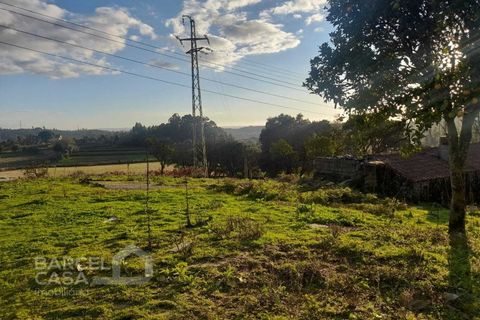 Terra a Freitas e Vila Cova, Braga, Freitas e Vila Cova - € 50.000 | Ref: 200/22 - foto 5