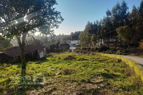 Terra a Freitas e Vila Cova, Braga, Freitas e Vila Cova - € 50.000 | Ref: 200/22 - foto 6