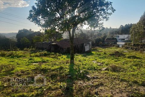 Terra a Freitas e Vila Cova, Braga, Freitas e Vila Cova - € 50.000 | Ref: 200/22 - foto 7