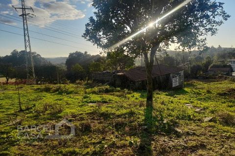 Terra a Freitas e Vila Cova, Braga, Freitas e Vila Cova - € 50.000 | Ref: 200/22 - foto 8