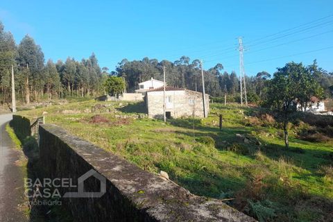 Terra a Freitas e Vila Cova, Braga, Freitas e Vila Cova - € 50.000 | Ref: 200/22 - foto 10